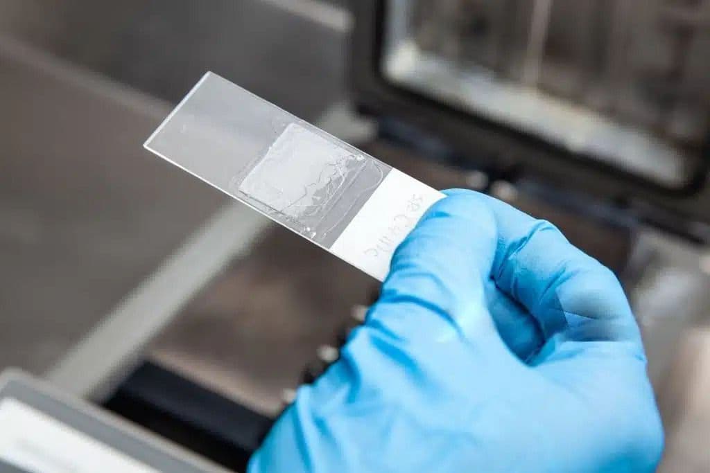 Boston-BioProducts-Protocol_section_image